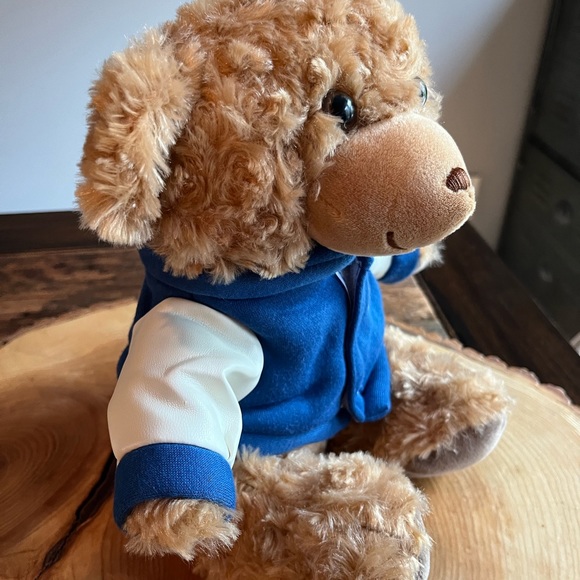 Foco Chicago Cubs Bear Stuffed Plush Animal Soft with Baseball Jersey Cubbies - Picture 12 of 12
